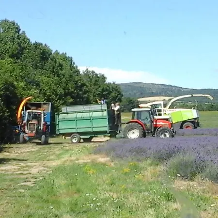 Les Cigales Du Ventoux Vakantiehuis
